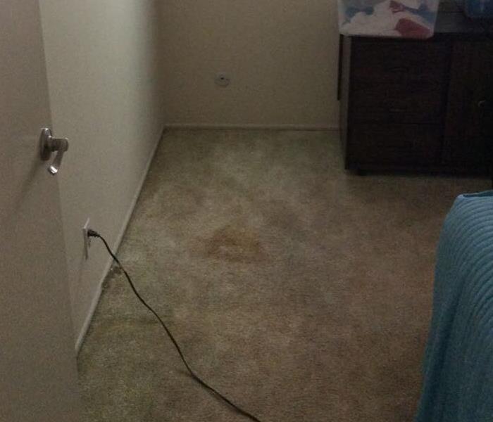 A carpeted bedroom without any of the drying equipment. 