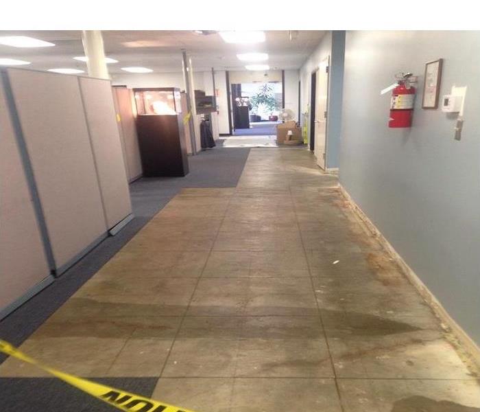 Office hallway with wet marks on the floor and the carpet torn out. 