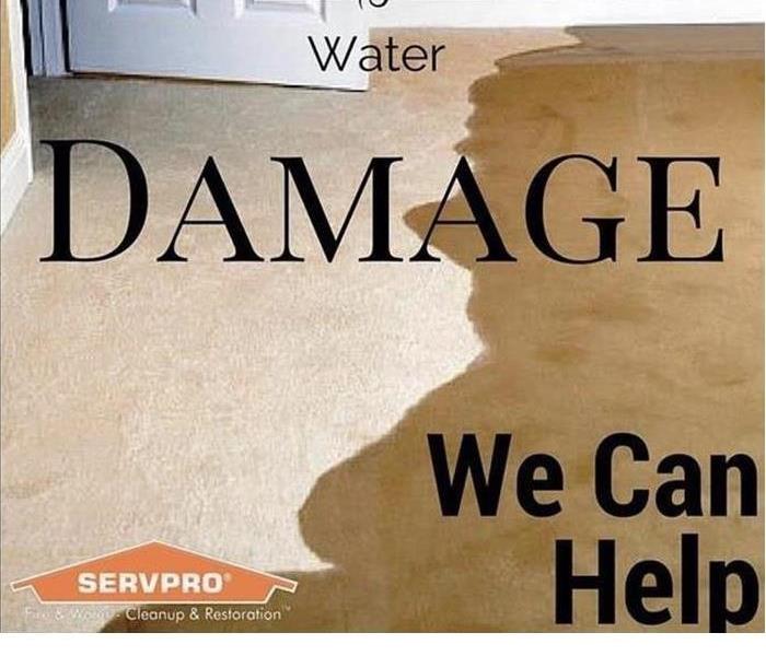 Water Damage Steps
