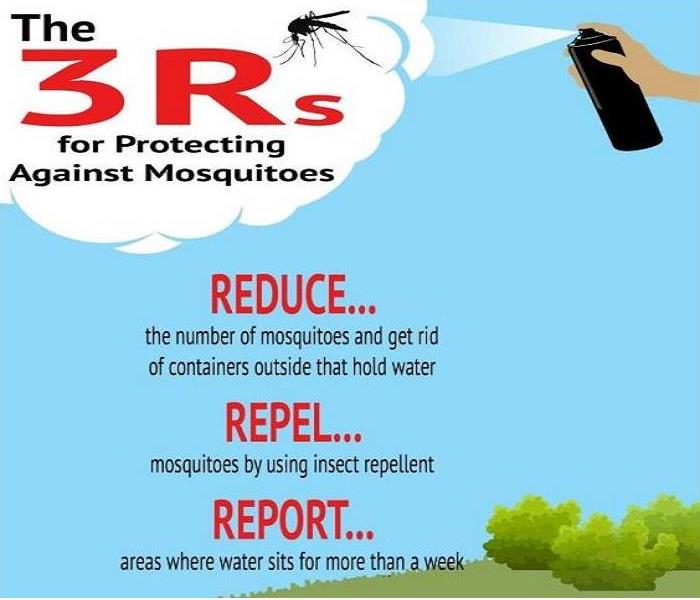 Cartoon picture of a mosquito being sprayed by a spray can.  Text writing of the 3 R's:  Reduce, Repel and Report